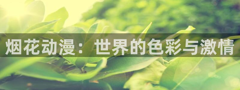 age动漫网页版入口：烟花动漫：世界的色彩与激情