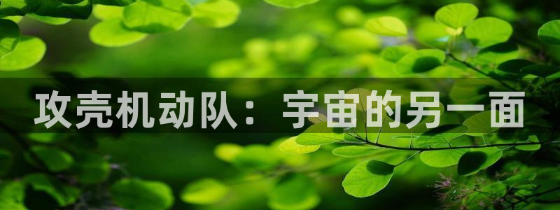 age动漫下载网址：攻壳机动队：宇宙的另一面