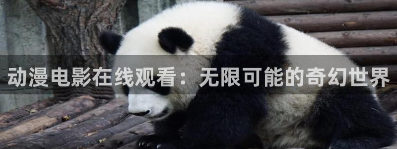 age动漫全：动漫电影在线观看：无限可能的奇幻世界