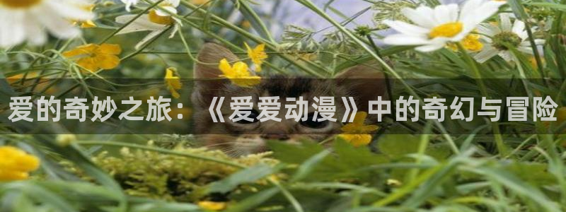 age动漫官_方：爱的奇妙之旅：《爱爱动漫》中的奇幻与冒险